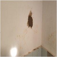 강원수도설비누수탐지누수 PC 갤러리 16