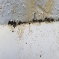 강원수도설비누수탐지누수 PC 갤러리 3